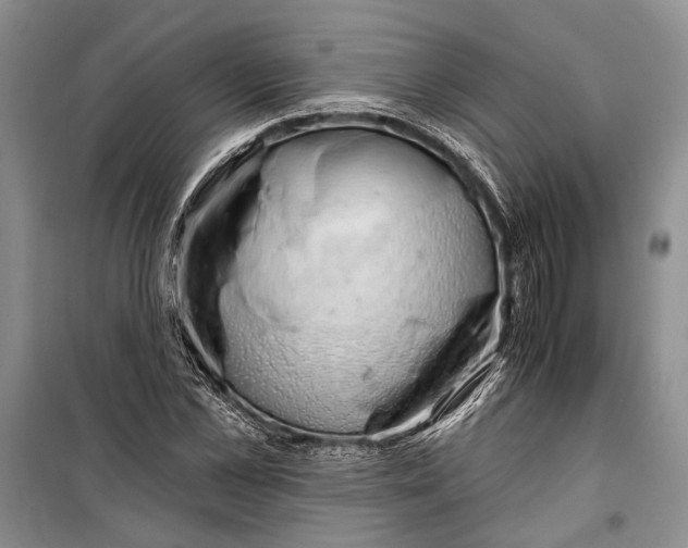 X0000100200973200806131225