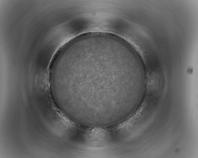 X0000100200974200806131225