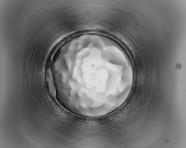 X0000100200975200806131225