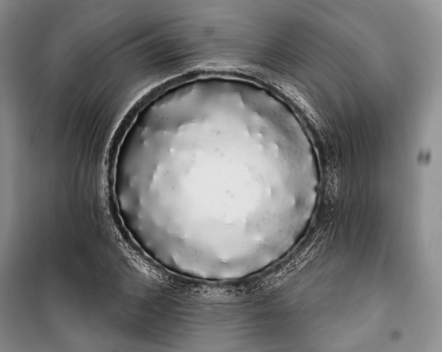 X0000100200976200806131225