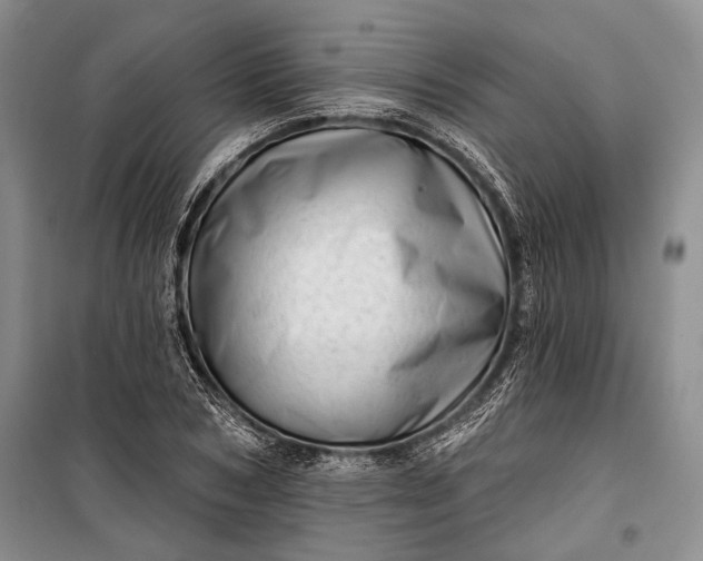 X0000100200978200806131225