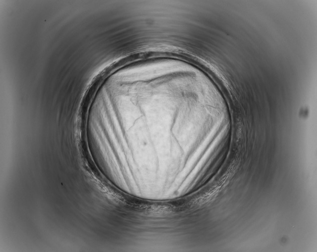 X0000100200979200806131225