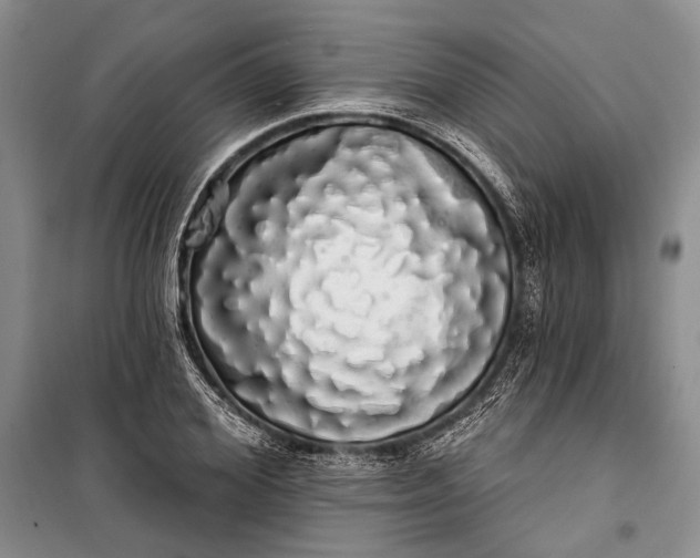 X0000100200980200806131225