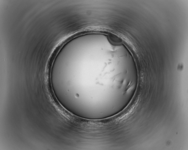 X0000100200981200806131225