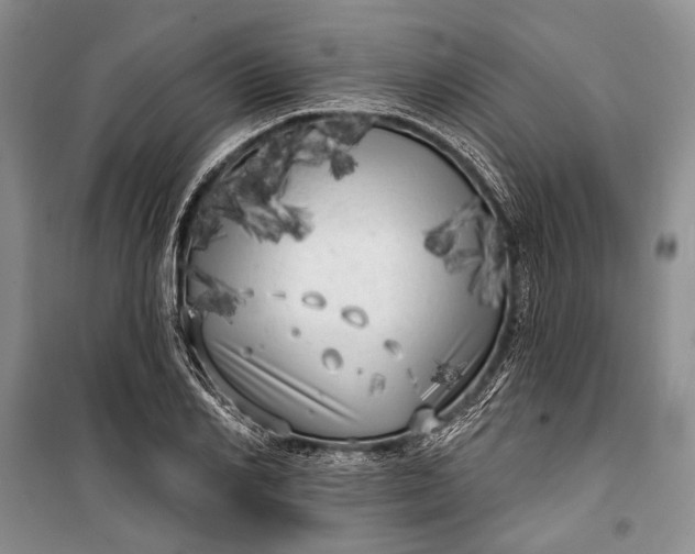 X0000100200982200806131225