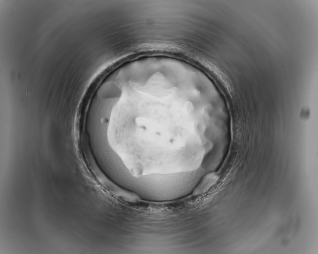 X0000100200983200806131225