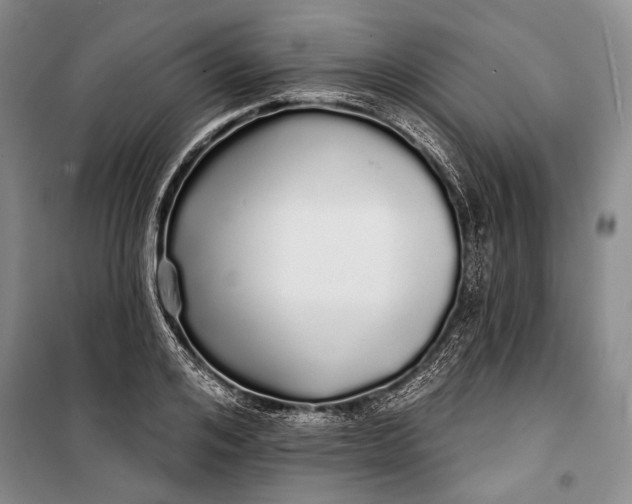 X0000100200984200806131225