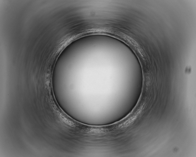 X0000100200985200806131225