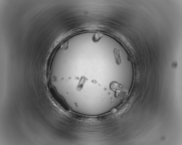 X0000100200986200806131225