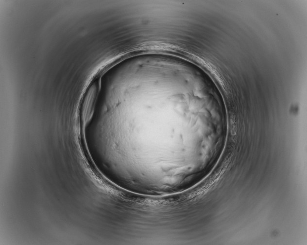 X0000100200987200806131225