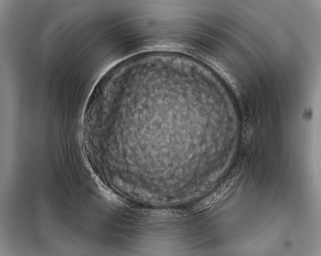 X0000100200988200806131225