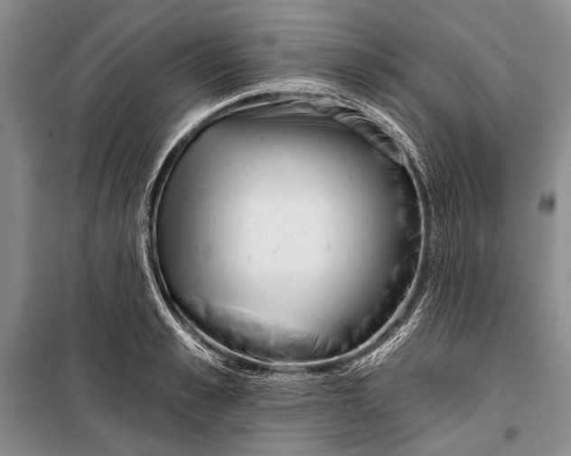 X0000100200989200806131225