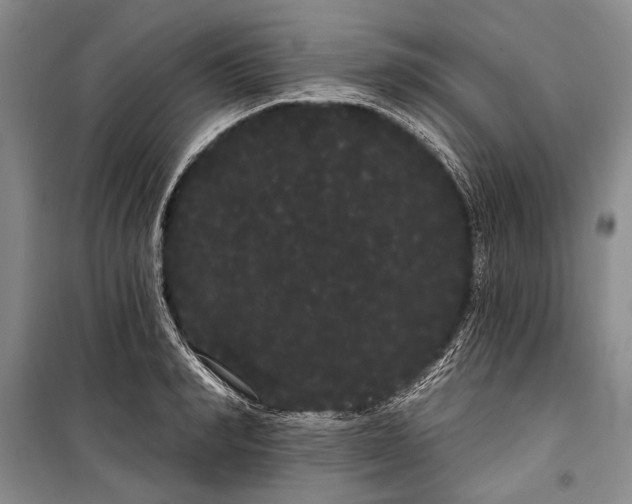 X0000100200990200806131225