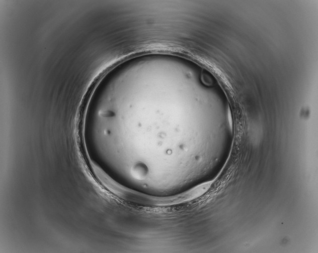 X0000100200991200806131225