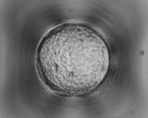 X0000100200992200806131225