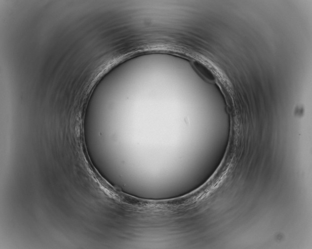 X0000100200993200806131225