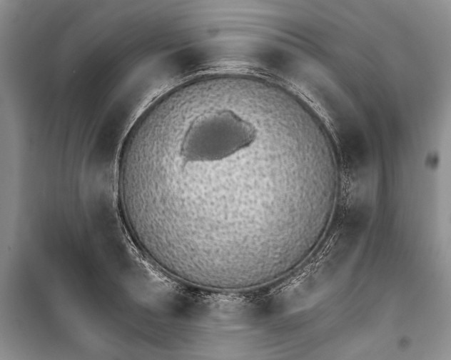 X0000100200994200806131225