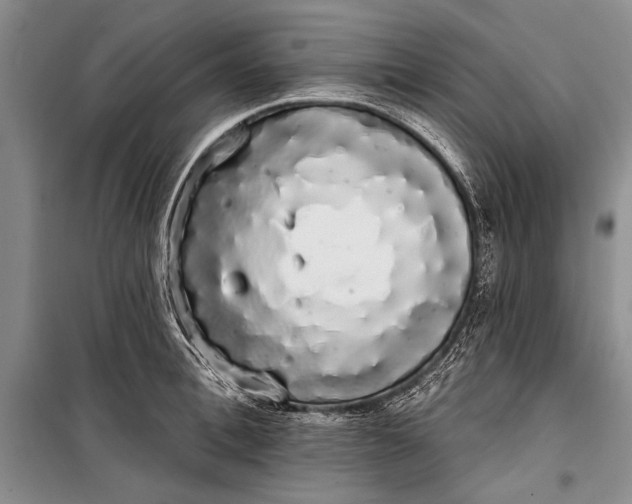 X0000100200996200806131225