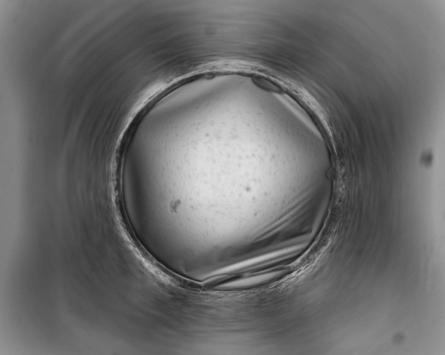 X0000100200997200806131225