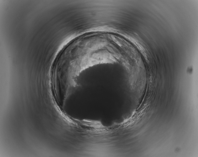 X0000100200998200806131225