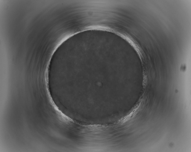 X0000100200999200806131225