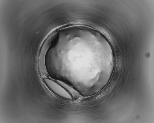 X0000100201000200806131225