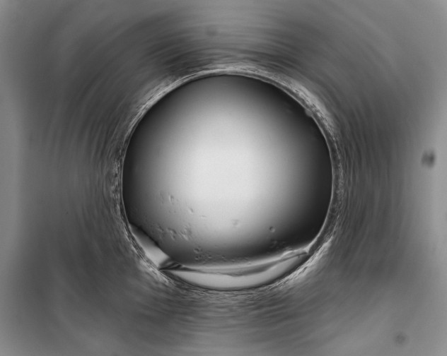 X0000100201001200806131225