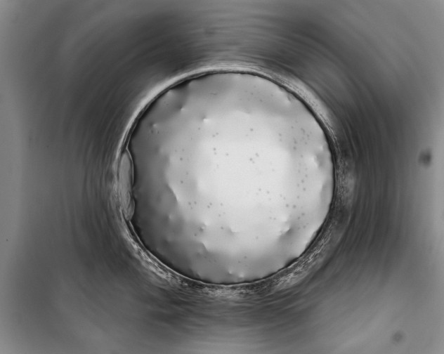 X0000100201004200806131225