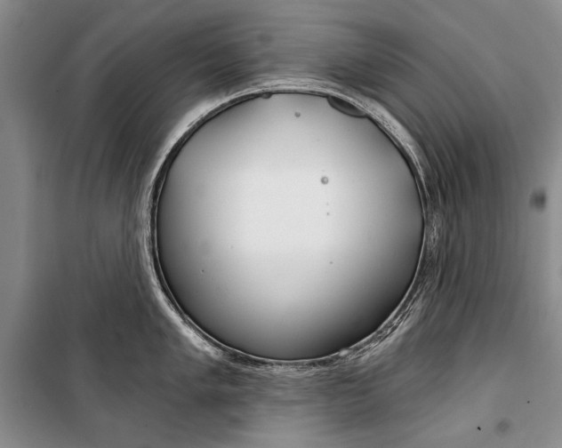 X0000100201005200806131225