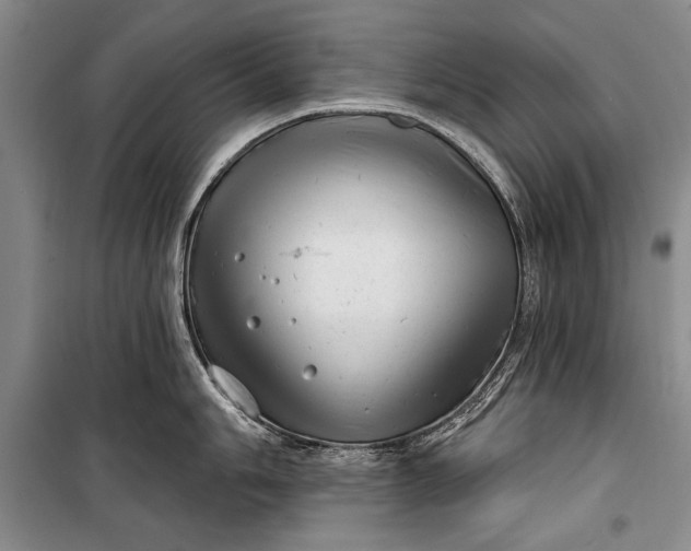 X0000100201006200806131225