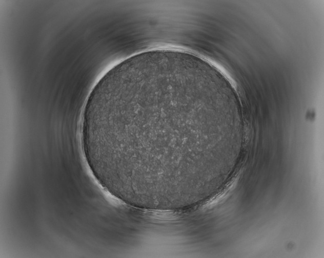 X0000100201007200806131225