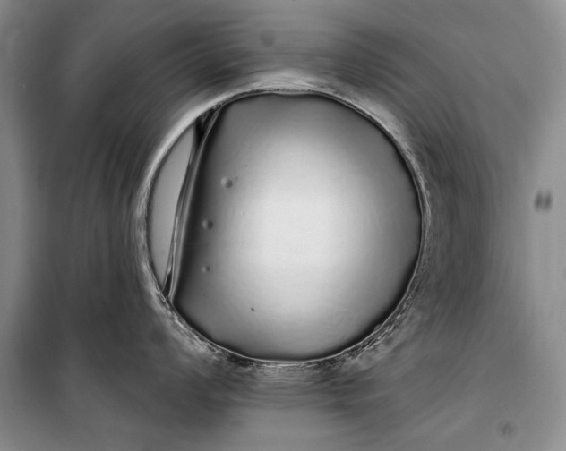 X0000100201008200806131225