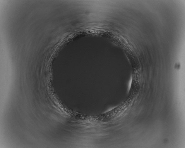 X0000100201009200806131224