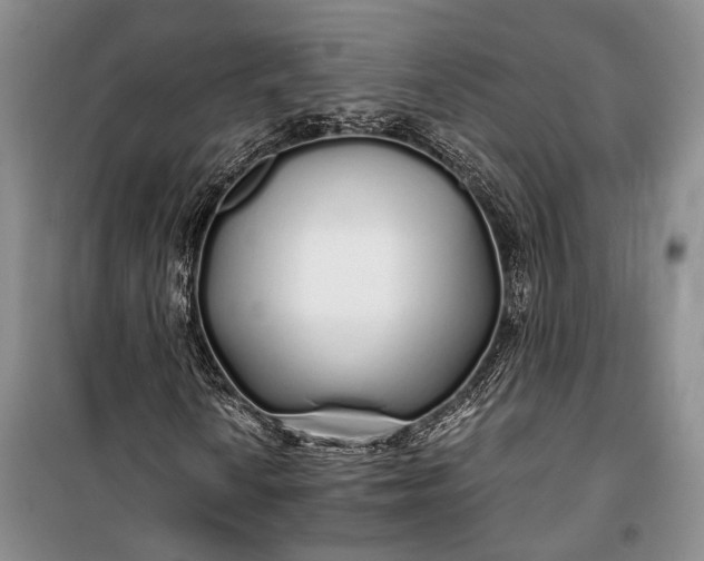 X0000100201010200806131224