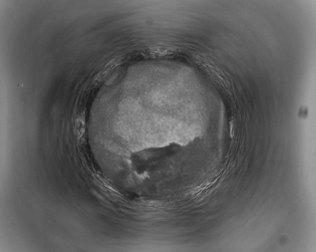 X0000100201011200806131224