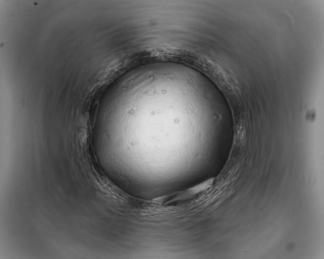 X0000100201012200806131224