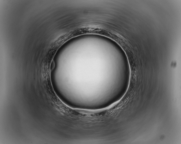 X0000100201014200806131224