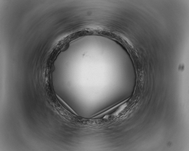 X0000100201016200806131224