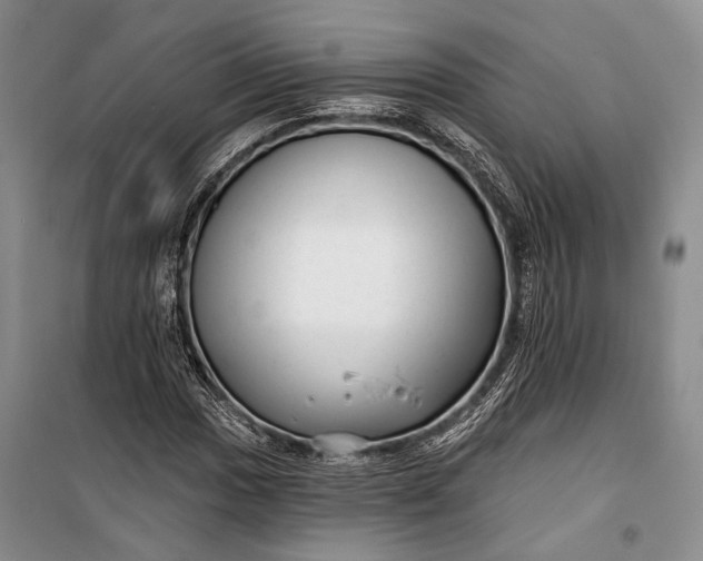 X0000100201017200806131224