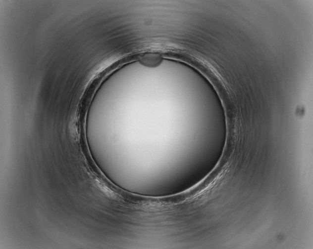 X0000100201018200806131224