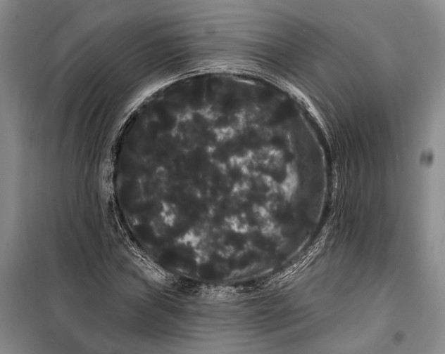 X0000100201019200806131224