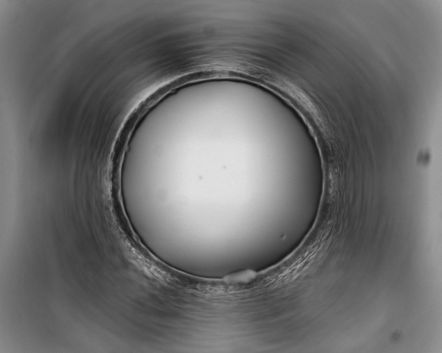 X0000100201020200806131224