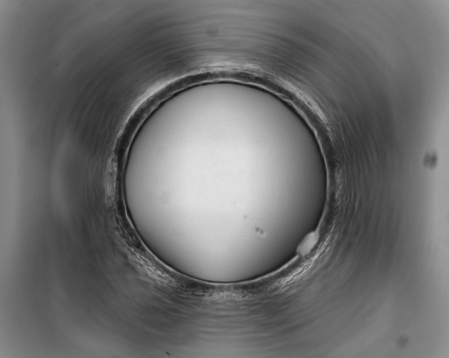 X0000100201021200806131224