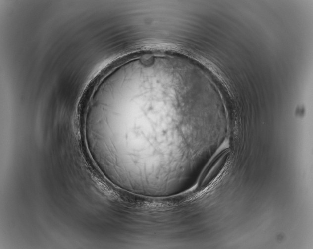 X0000100201022200806131224