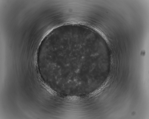 X0000100201023200806131224