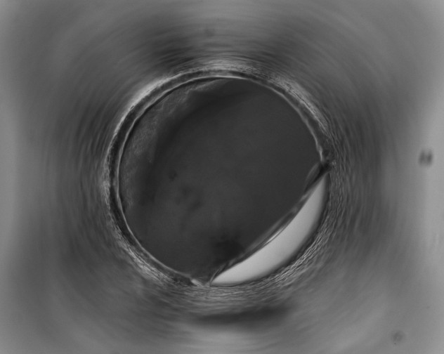 X0000100201024200806131224