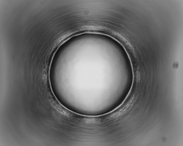 X0000100201025200806131225