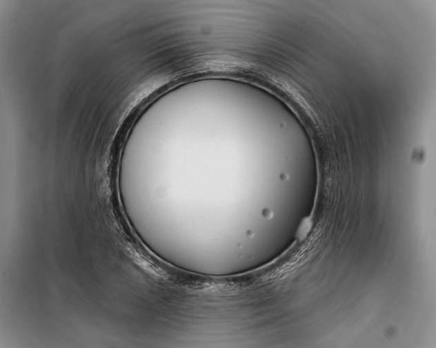 X0000100201026200806131225