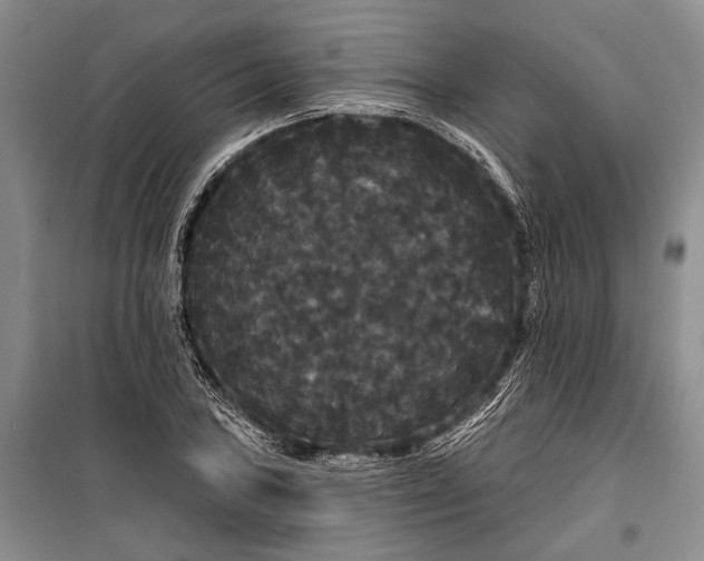 X0000100201027200806131225