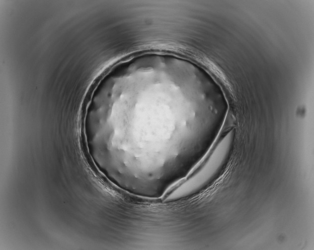 X0000100201028200806131225